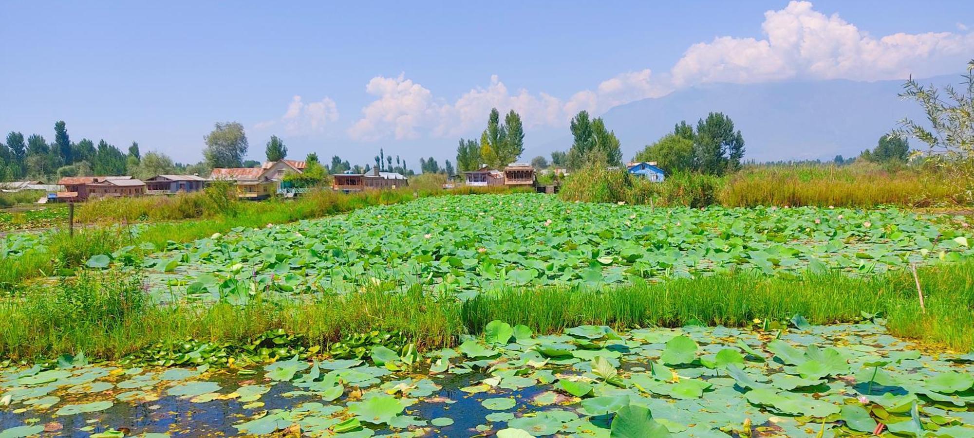 Houseboat Wild Rose Hotel Srinagar  Exterior photo